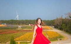 开车视频疼痛有声音软件下载